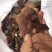 长腿小金边灵芝