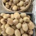 南阳优质猕猴桃种植基地,量大现货,专业代办,诚信为您服务