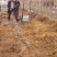 屠欢草甘膦三氯吡全新配方非耕地公路杂草灭生性除草剂
