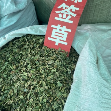狶莶草稀签草狶签草货品质量保证无硫净货