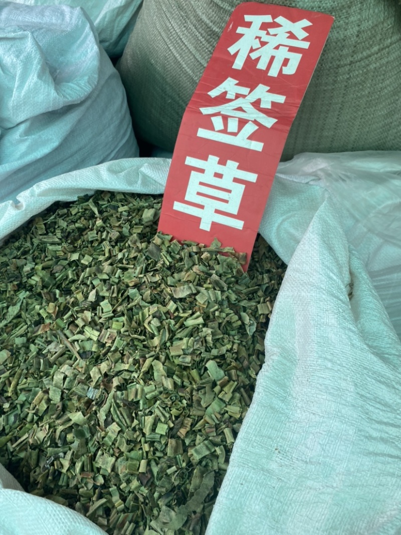 狶莶草稀签草狶签草货品质量保证无硫净货