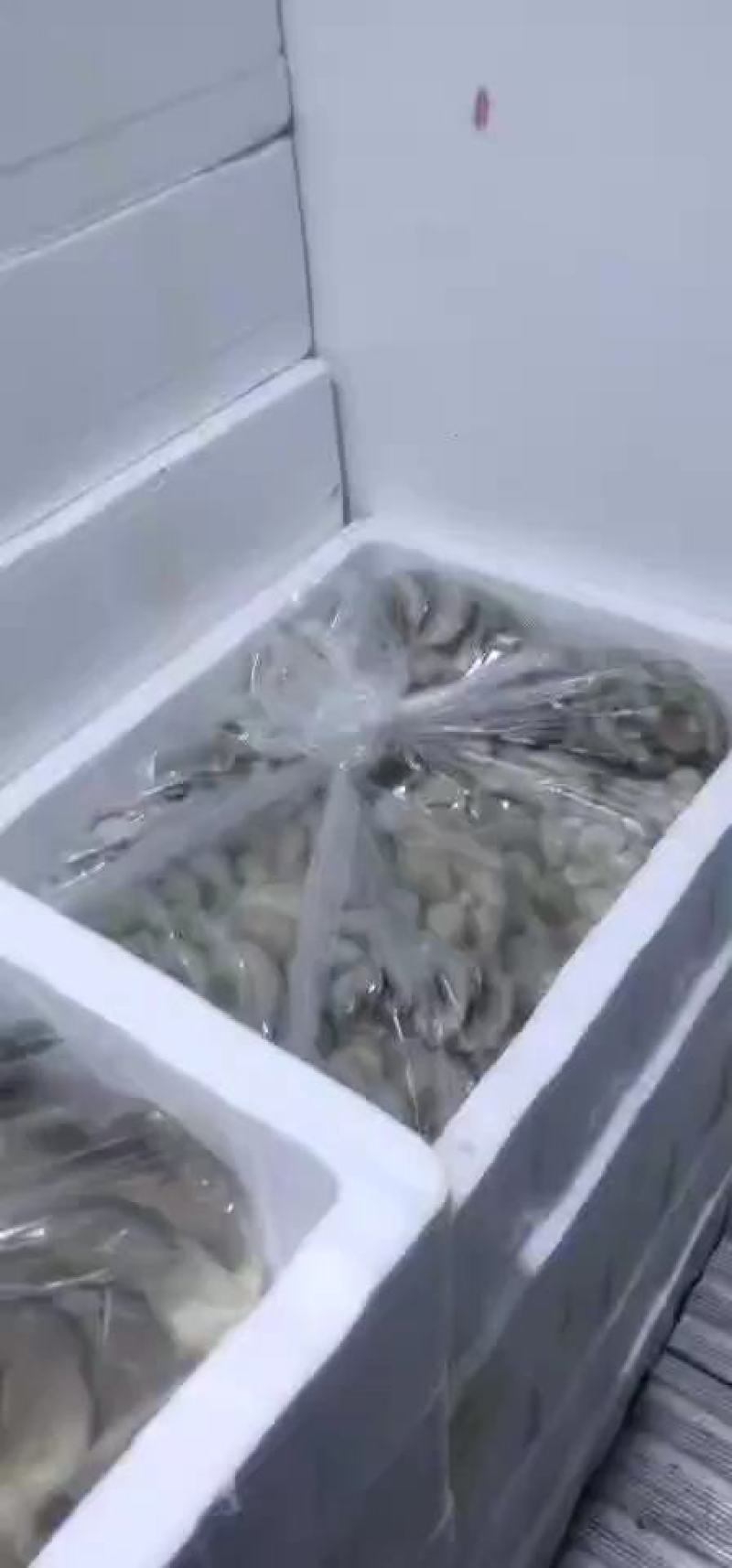 新鲜平菇，一手货源！产地直供，可以视频看货！