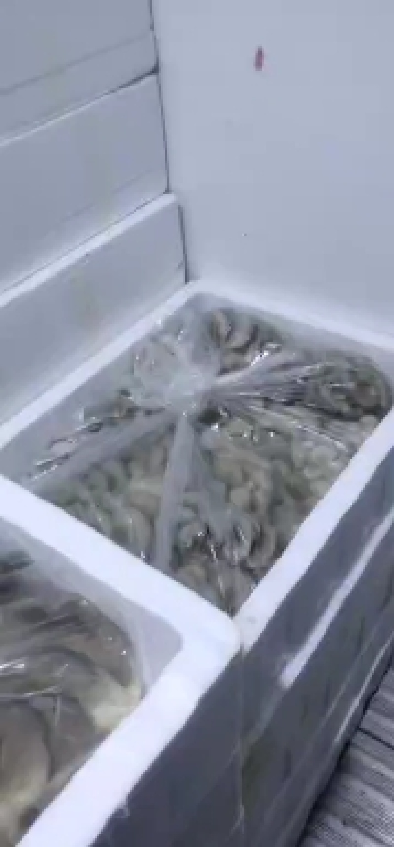 新鲜平菇，一手货源！产地直供，可以视频看货！