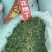 中药材紫花地丁货品质量保证干净无杂批发各种中药材