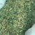 中药材紫花地丁货品质量保证干净无杂批发各种中药材