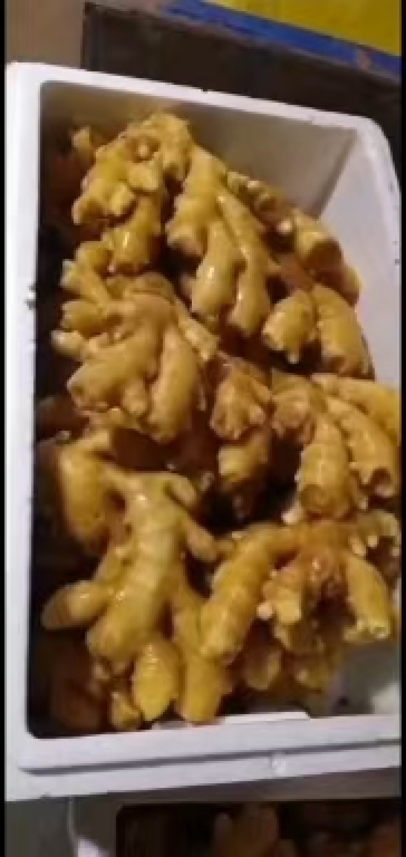 山东生姜产地直发品质保证欢迎来电洽谈更优惠