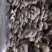产地有货！大量上市，供不应求，现采现发价格实惠