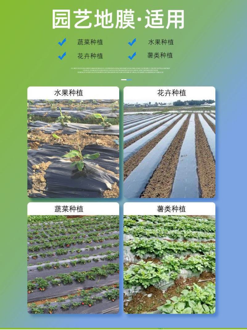 加厚银黑地膜反光双色塑料薄膜农用宽0.8-2米保湿增温