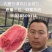西瓜应季品种随时可聊