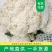 河北邯郸有机花，花白，个头大小均匀，欢迎全国商超合作