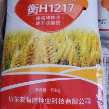 新品上市中，种植大户品种1217你值得的拥有