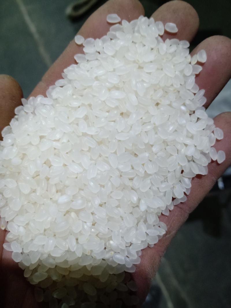 珍珠大米，产地直供监管基地一件代发，电商平台