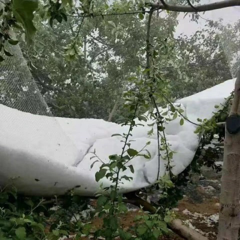 防雹子网，厂家直销，大量现货供应