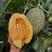 山东哈密瓜，寿光产地小蜜25哈密瓜，没有次货，需要联系。
