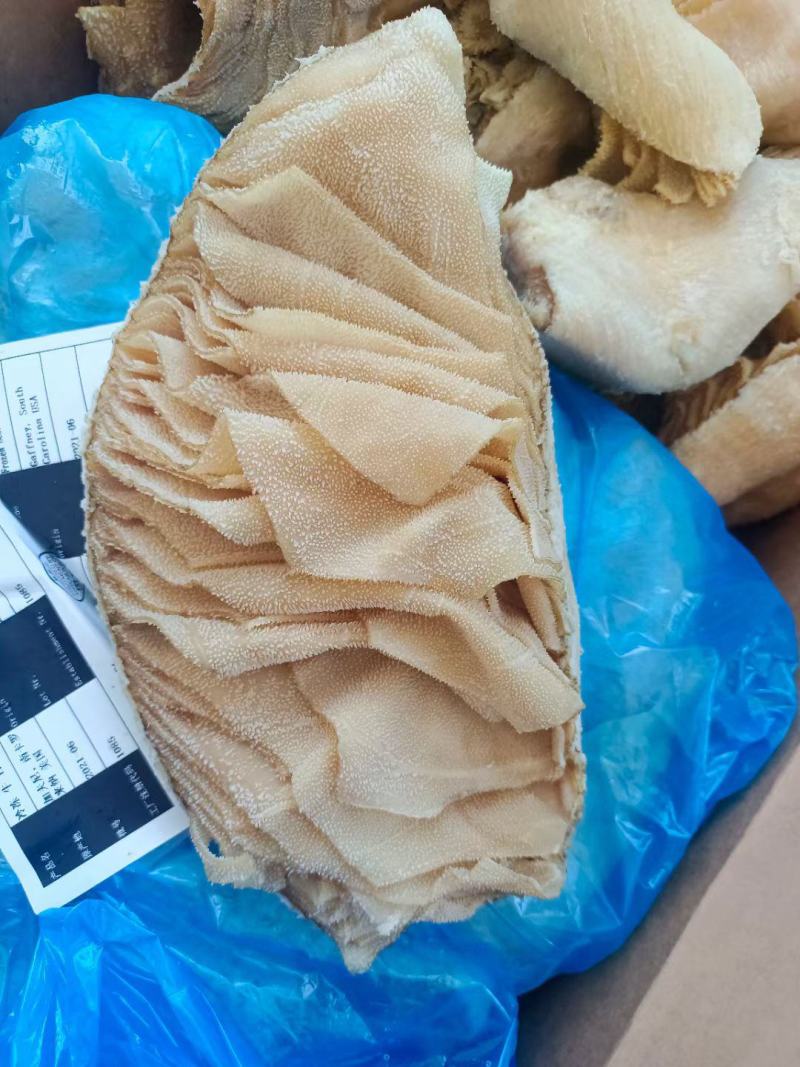 正关美国1085百叶