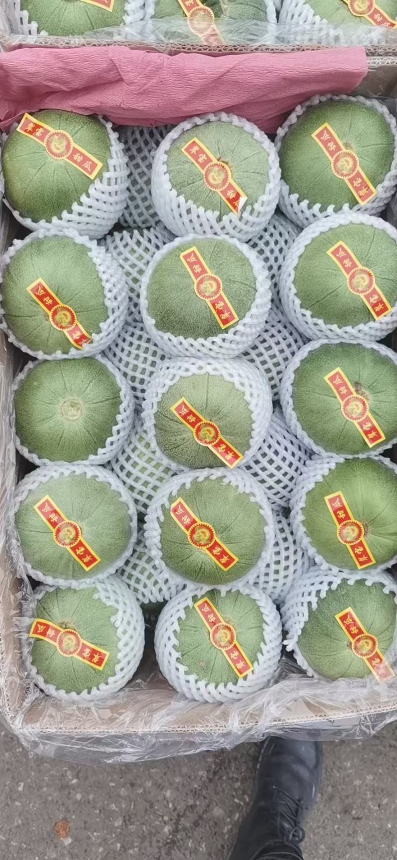 寿光绿宝甜瓜，绿宝石甜瓜，羊角蜜水果，整车出货，甜甜甜甜