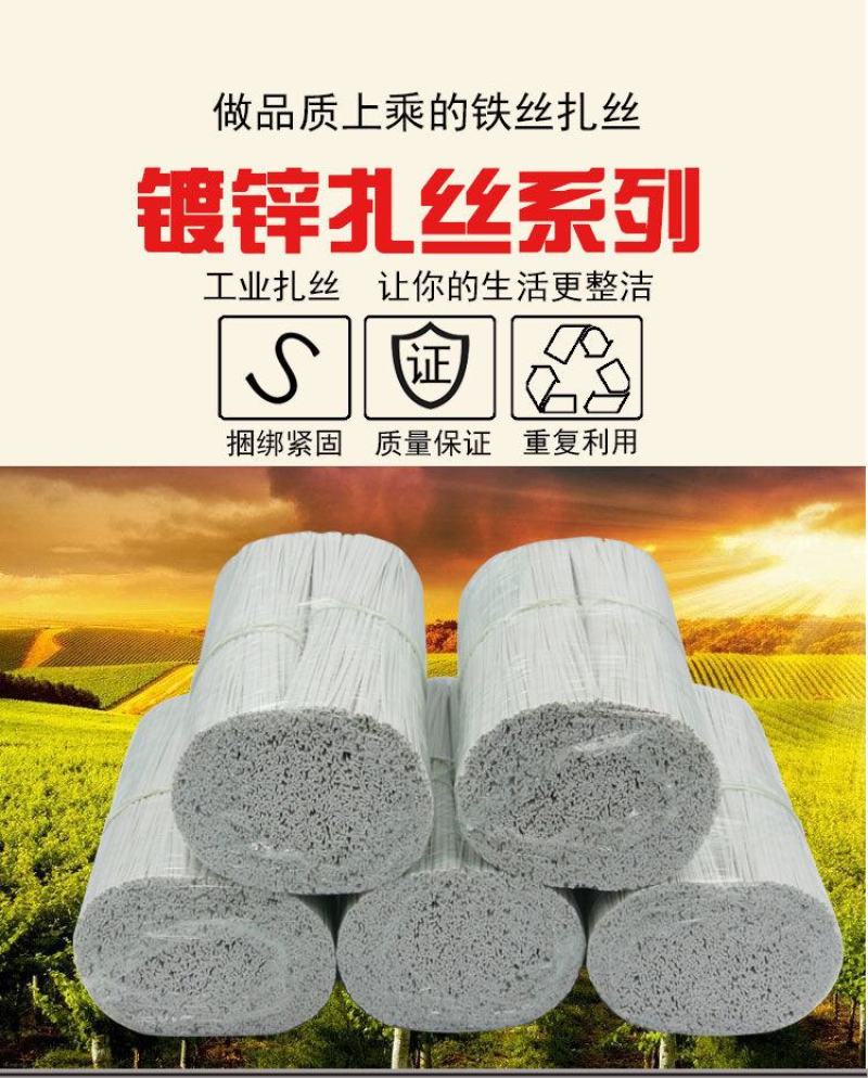 葡萄扎丝一万条园林扎带捆绑电光缆扎线扎带绑丝扎条电镀锌铁