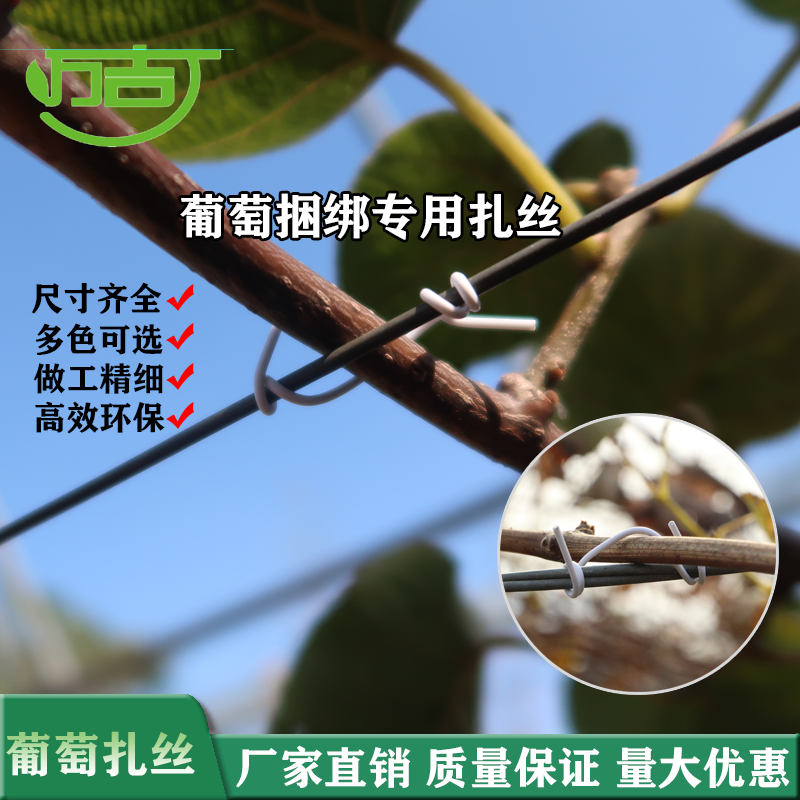 葡萄扎丝一万条园林扎带捆绑电光缆扎线扎带绑丝扎条电镀锌铁