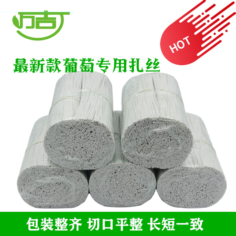 葡萄扎丝一万条园林扎带捆绑电光缆扎线扎带绑丝扎条电镀锌铁