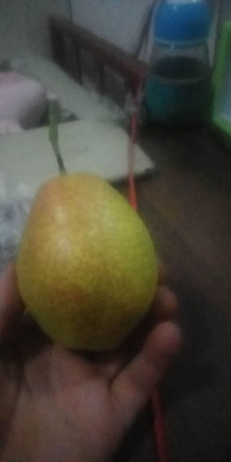 【推荐】玉露香，红香酥梨9月份大量上市，产地一手货源