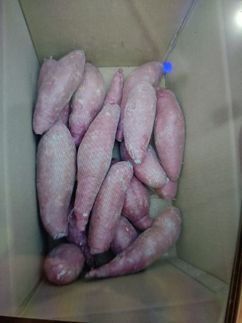 有想挣大钱的朋友们，请给我联系，种地十年有余，一手货源，