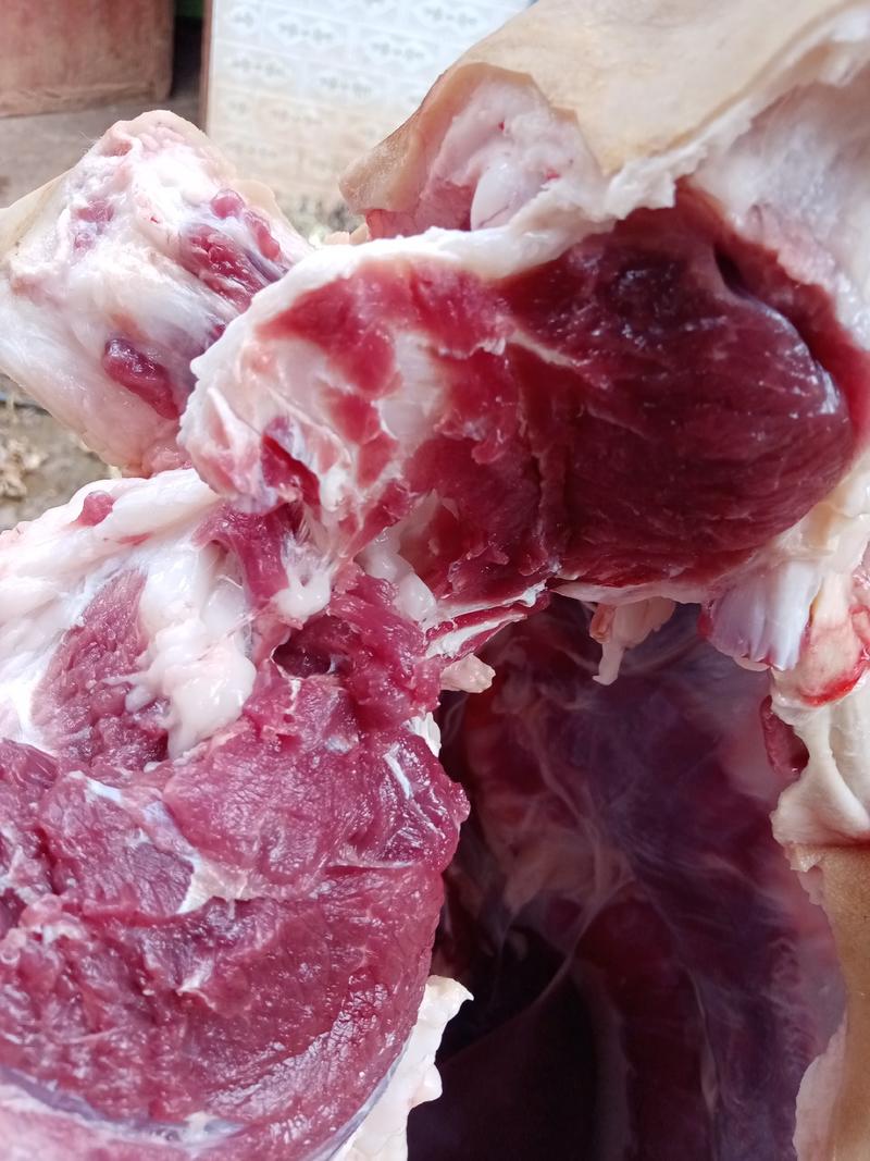 鲜羊肉，一手货源，产地直销，可视频看货，量大从优。