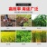 包邮本田王四冲程侧挂式割草机大功率汽油打草除草收割神器