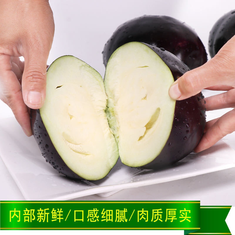 【茄子】河北紫光圆茄净重4两以上产地直销量大从优
