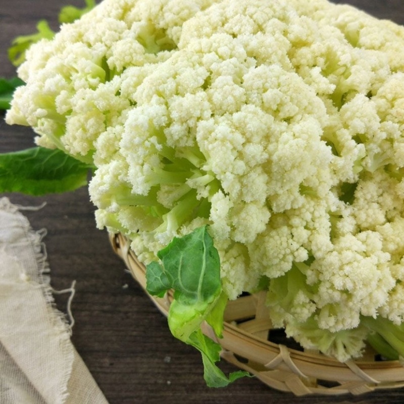 【花菜】河北有机菜花松花菜一手货源产地直发好货