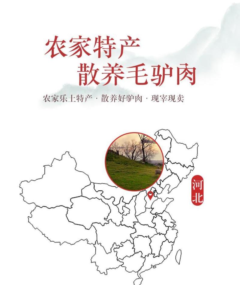 顺丰包邮新鲜现杀生驴肉正宗真空包装特产不带皮驴肉鲜生驴肉