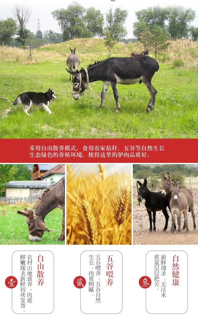顺丰包邮新鲜现杀生驴肉正宗真空包装特产不带皮驴肉鲜生驴肉