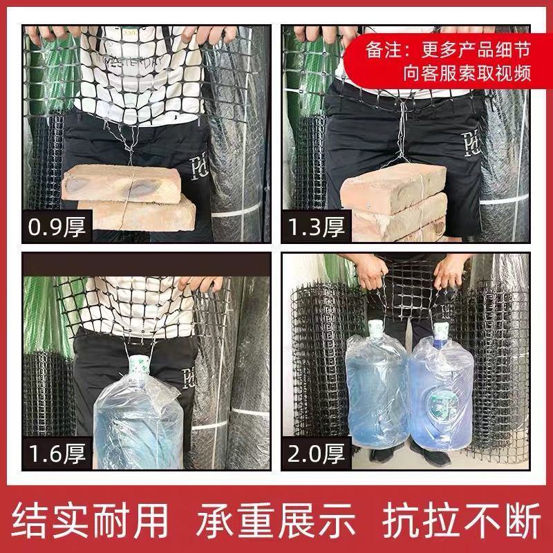 包邮塑料网格防护网小孔养鸡鸭围栏护栏网隔离网养殖网