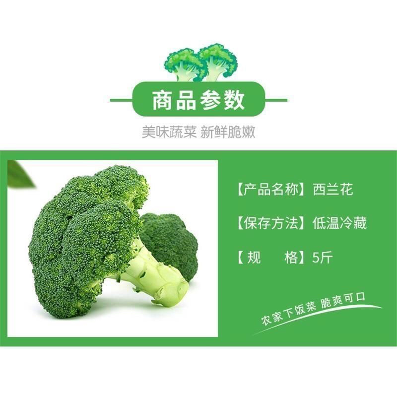 【西兰花】河北优质西兰花应季蔬菜大量现货全国发货