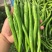 河南鲜辣椒【线椒】河南线椒产地一手货源现货供应