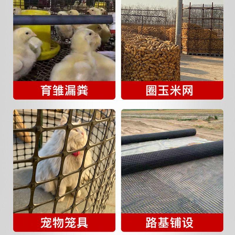 养鸡养鸭塑料养殖网围栏网防护隔离网玉米网栅栏网果园圈地防