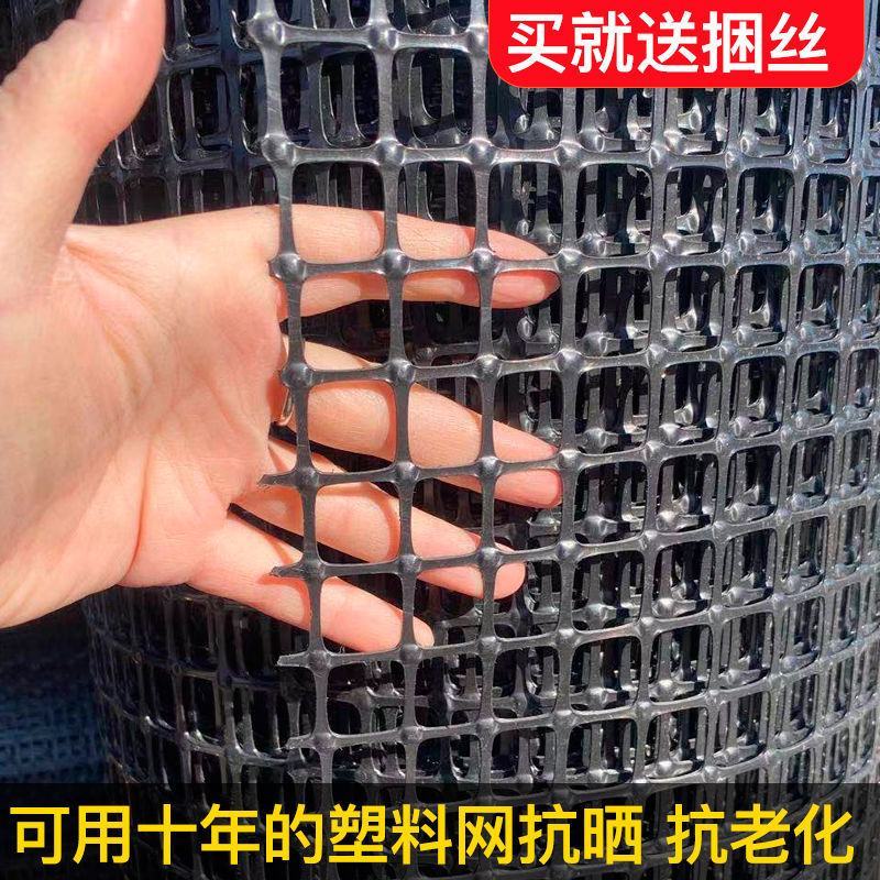 养鸡养鸭塑料养殖网围栏网防护隔离网玉米网栅栏网果园圈地防
