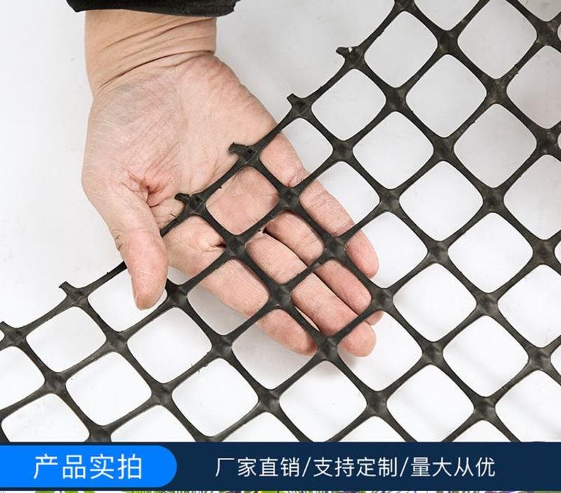 养鸡养鸭塑料养殖网围栏网防护隔离网玉米网栅栏网果园圈地防