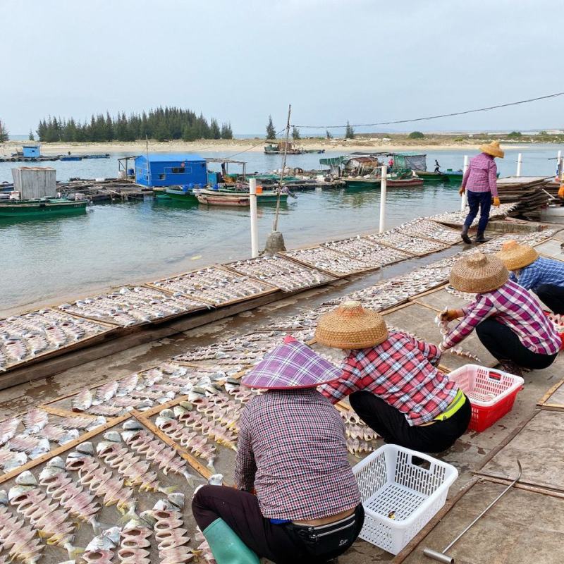 金鲳鱼干纯人工淡晒金鲳鱼干7成干微咸6-7两一条，可定做