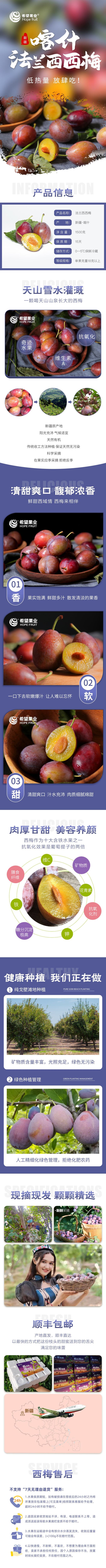 新疆喀什法兰西西梅配一件代发，落地配，整车全国可发