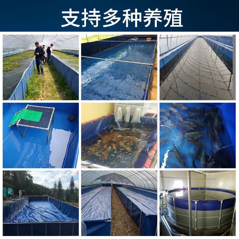定制帆布鱼池防水布水池大型折叠养殖养鱼加厚带支架户外家用