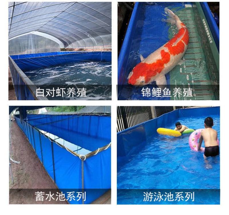 定制帆布鱼池防水布水池大型折叠养殖养鱼加厚带支架户外家用