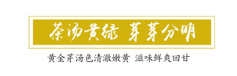 特级珍稀黄金芽茶叶2021年明前新茶春茶高山绿茶安吉白茶