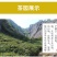 特级珍稀黄金芽茶叶2021年明前新茶春茶高山绿茶安吉白茶