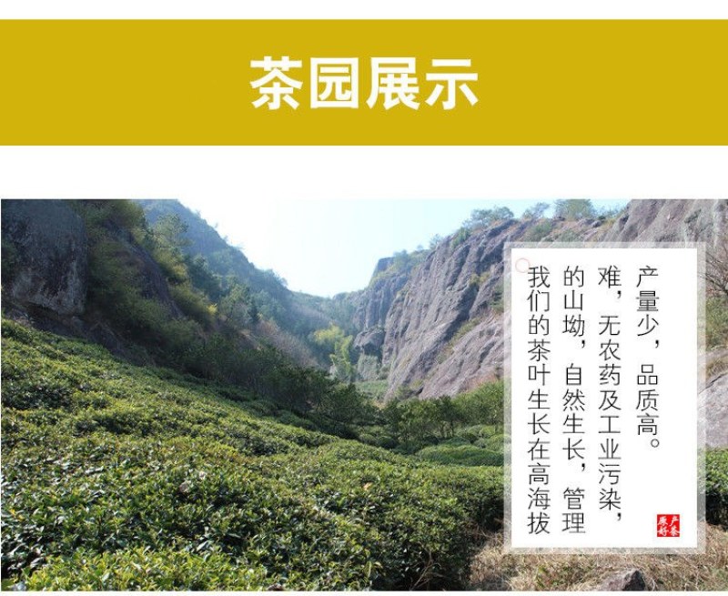 特级珍稀黄金芽茶叶2021年明前新茶春茶高山绿茶安吉白茶