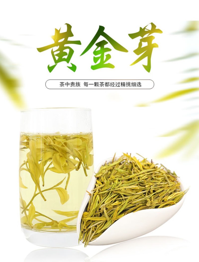 特级珍稀黄金芽茶叶2021年明前新茶春茶高山绿茶安吉白茶