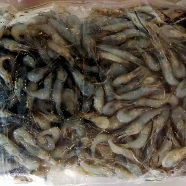 河虾