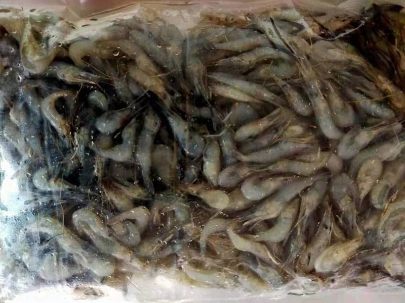 河虾