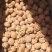 新疆和田的185纸皮核桃