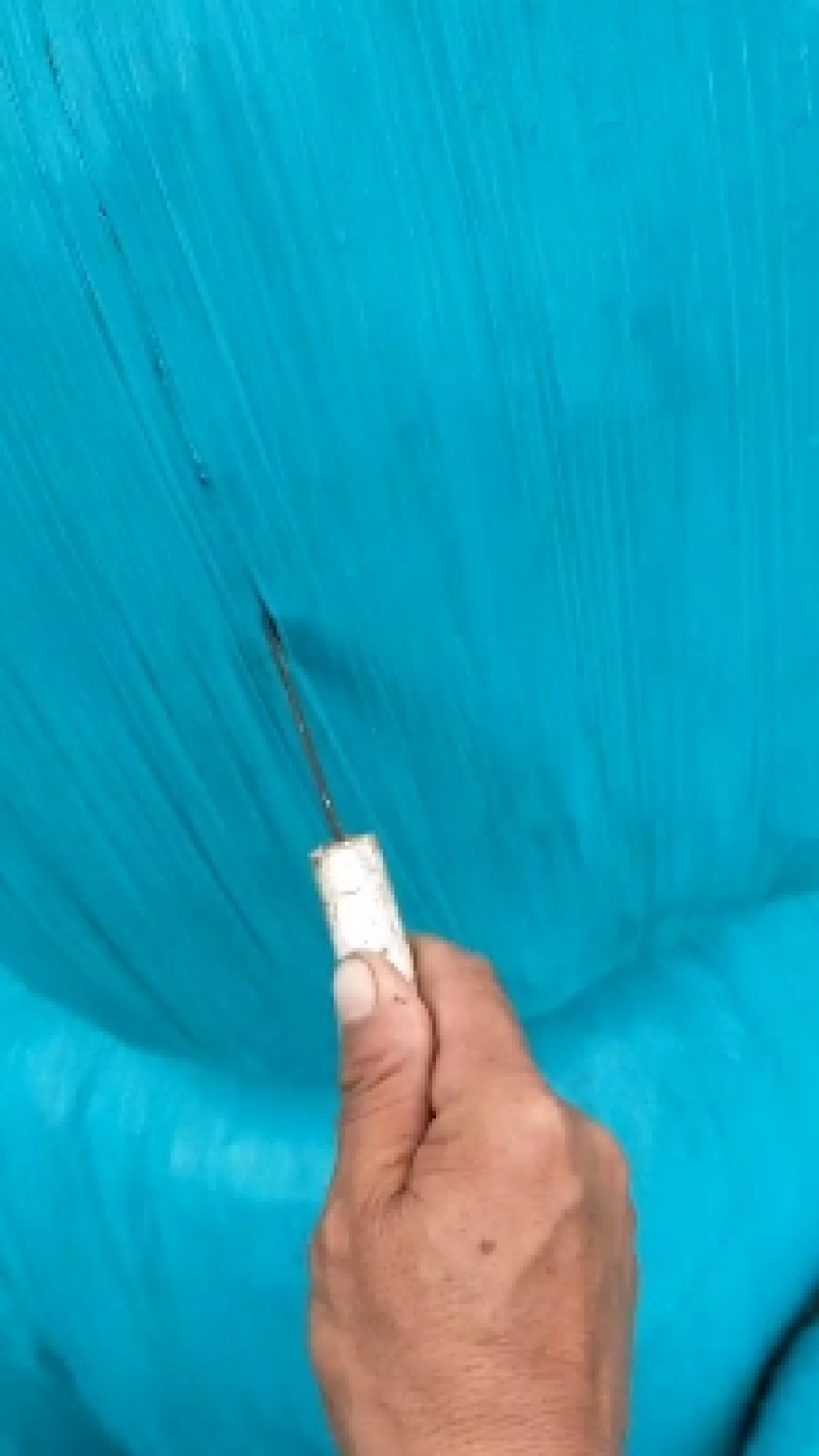 玉米秸秆黄储包乳酸菌发酵