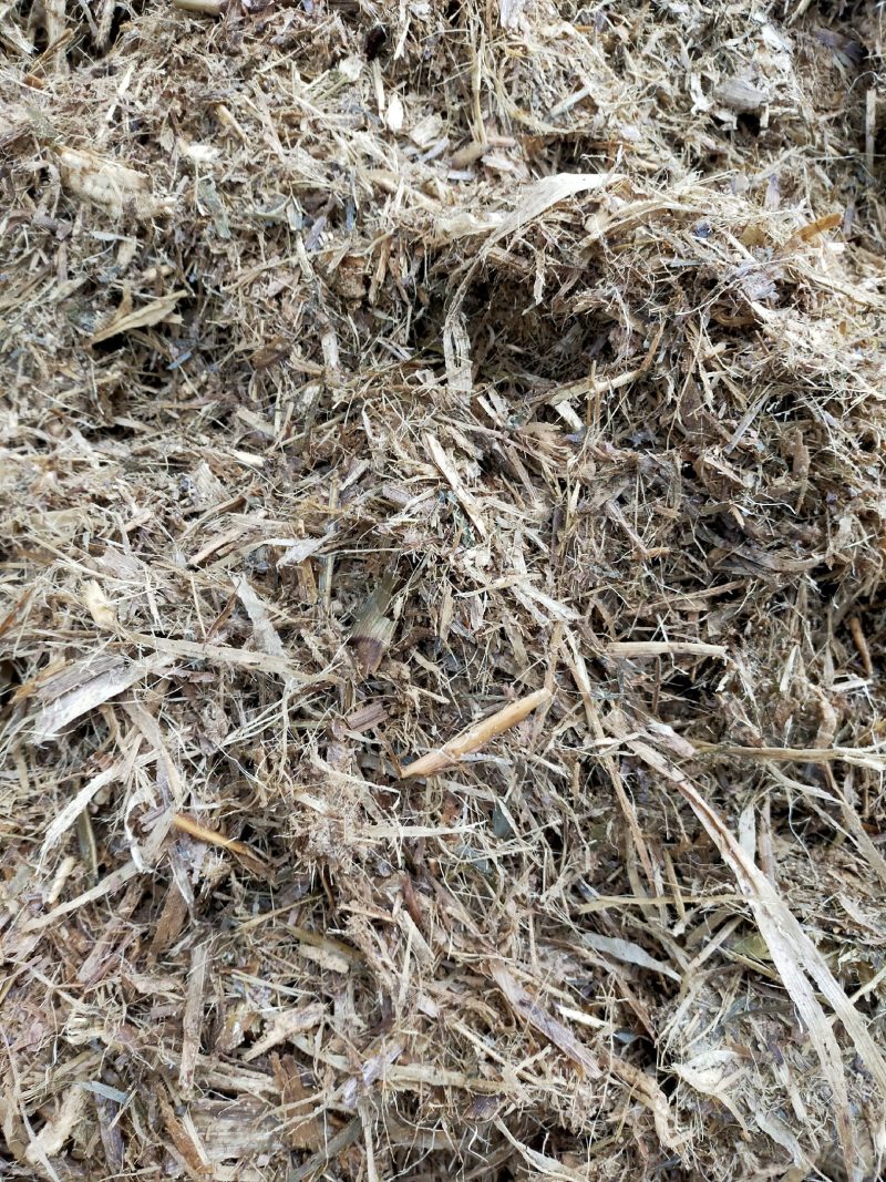 玉米秸秆黄储包乳酸菌发酵